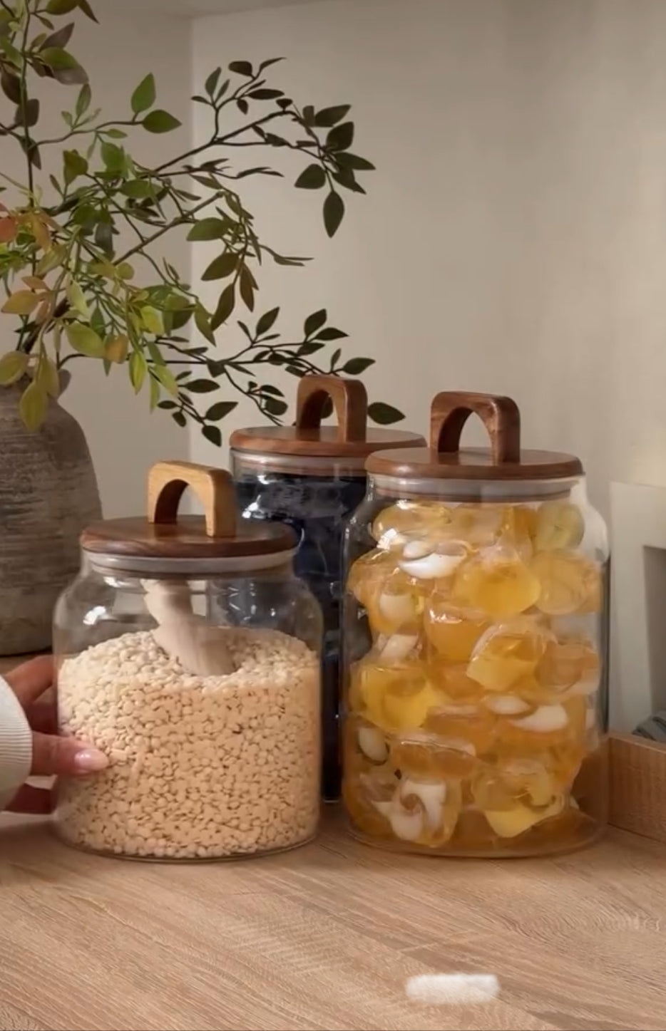 Lot de 2 contenants de stockage, bocaux en verre réutilisables scellés avec couvercle en acacia hermétique